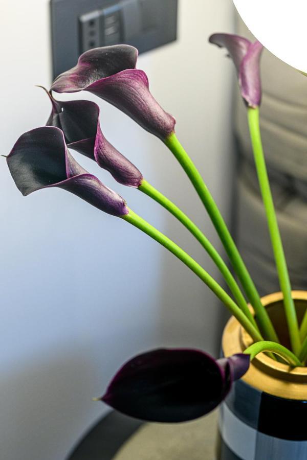 Hotel Boutique Donna Anna Giroc ภายนอก รูปภาพ